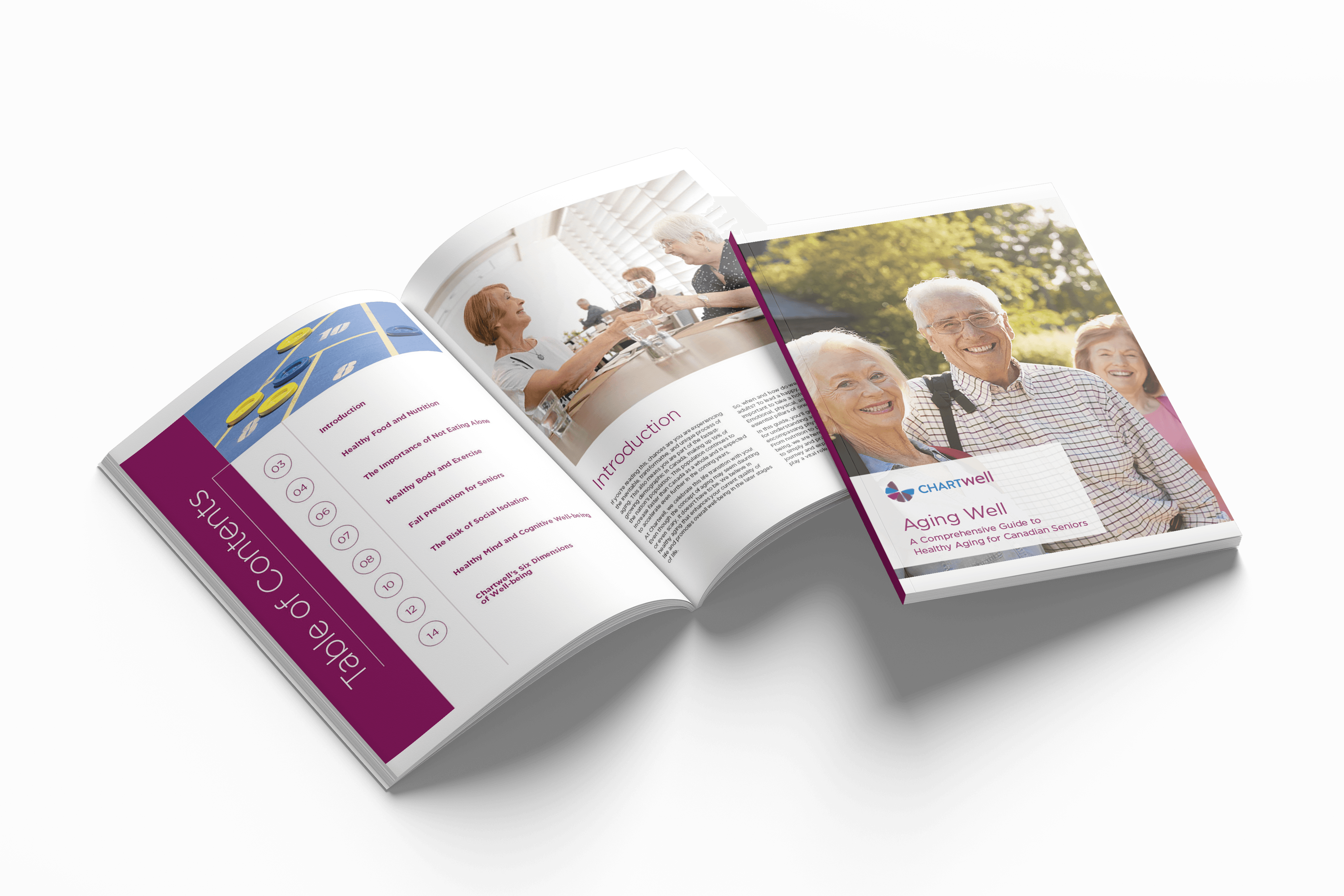 Preview of the Aging Well guide