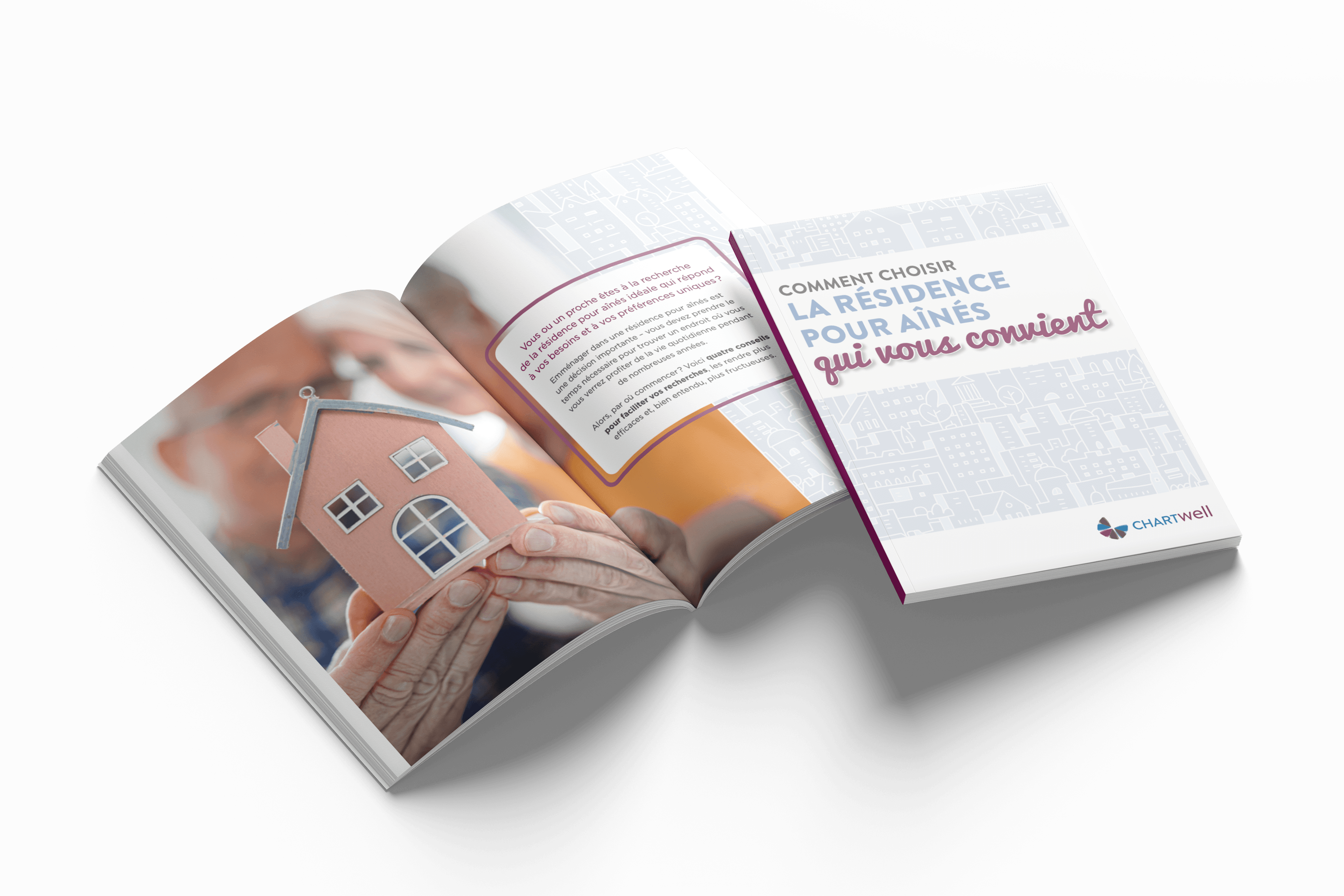 Exemple de page du guide