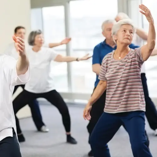 A group of seniors are learning Taichi / Un groupe de seniors apprend le taïchi