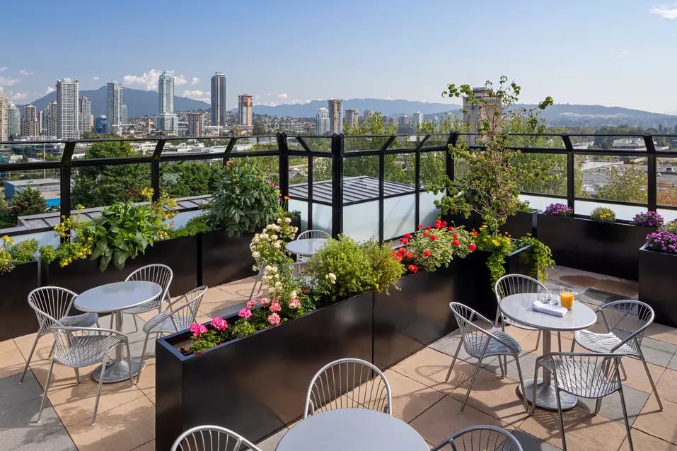 picturesque patio views at chartwell carlton retirement residence